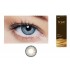 ARYAN ONE DAY COLOR CONTACT LENS –EARTHY GRAY (10 Lens Pack)
