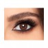 Freshlook Colorblends Brown Color Lenses (2 Lens per Box) Monthly disposable cosmetic Lenses